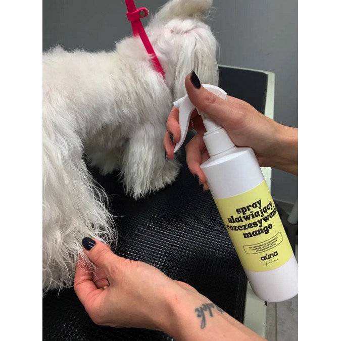 SPRAY ułatwia rozczesywanie, wygładzająco-obciążający GROOMER 300 ml