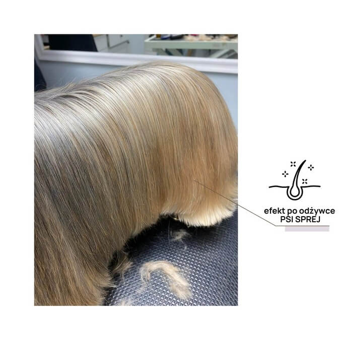 Psi sprej odświeżanie i pielęgnacja sierści Kokos