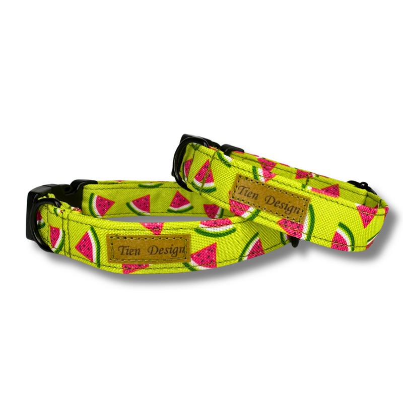 Obroża dla psa Arbuz