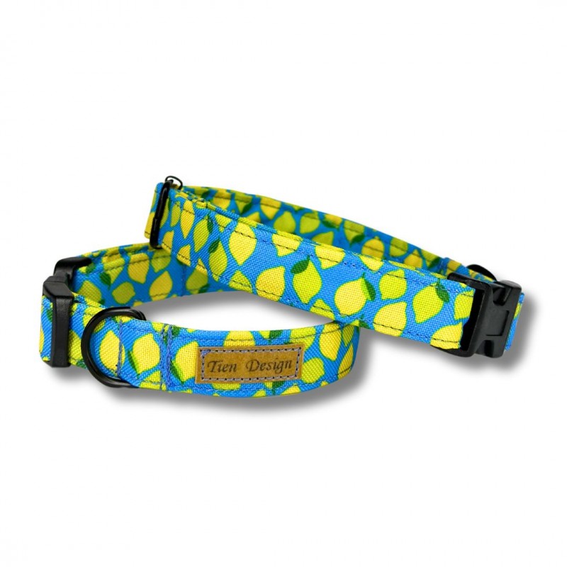 Obroża dla psa Limonka