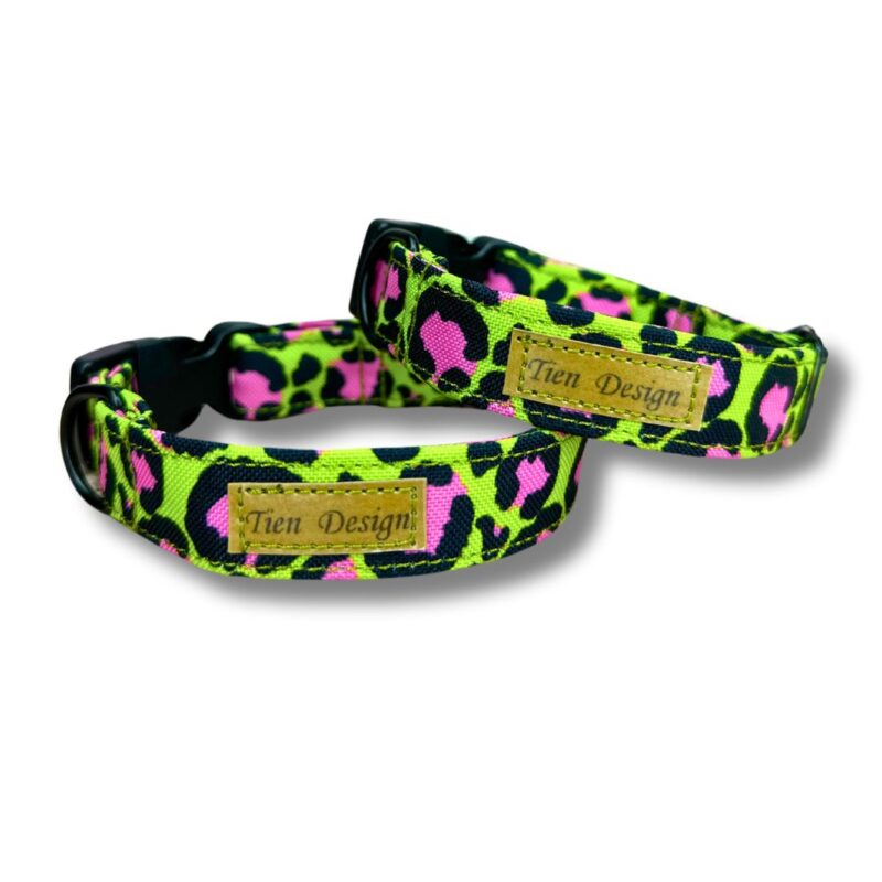 Obroża dla psa Zielona Panterka